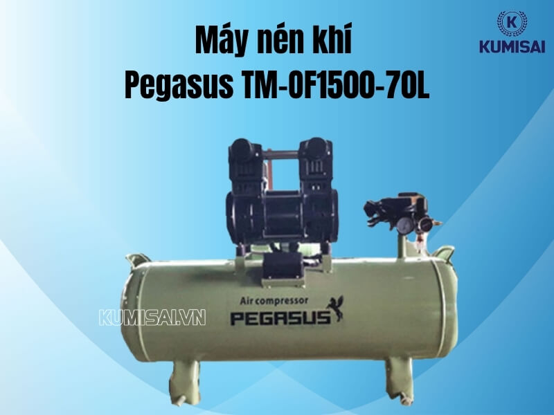 Tìm hiểu chi tiết về máy nén khí Pegasus TM-OF1500-70L