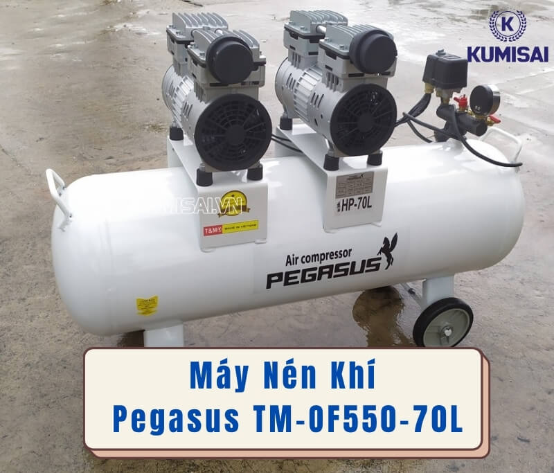 Máy nén khí công nghiệp piston không dầu Pegasus TM-OF550-70L