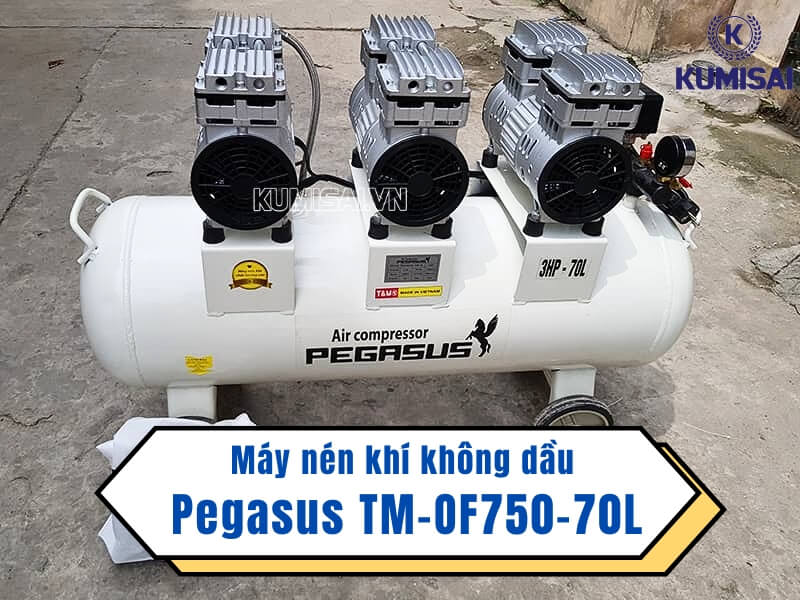 Tìm hiểu về máy nén khí không dầu Pegasus TM-OF750-70L Tìm hiểu về máy nén khí không dầu Pegasus TM-OF750-70L