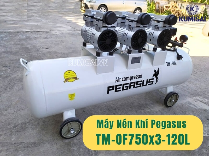 Máy nén khí không dầu Pegasus TM-OF750x3-120L
