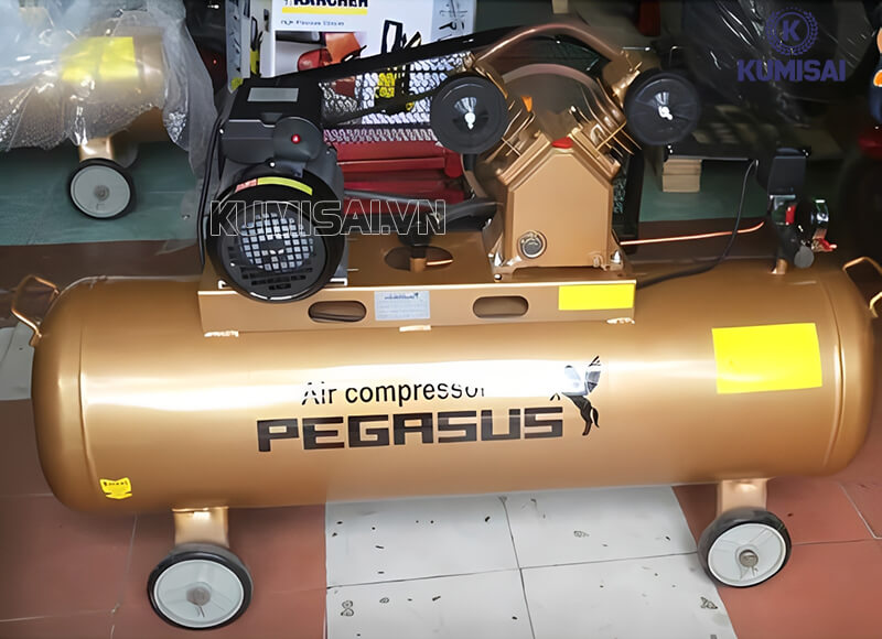Tìm hiểu máy nén khí piston Pegasus TM-V-0.25/8-120L