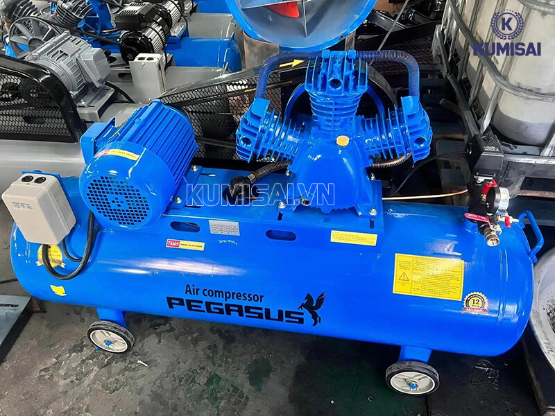 Tìm hiểu máy nén khí piston Pegasus TM-V-0.36/8-180L