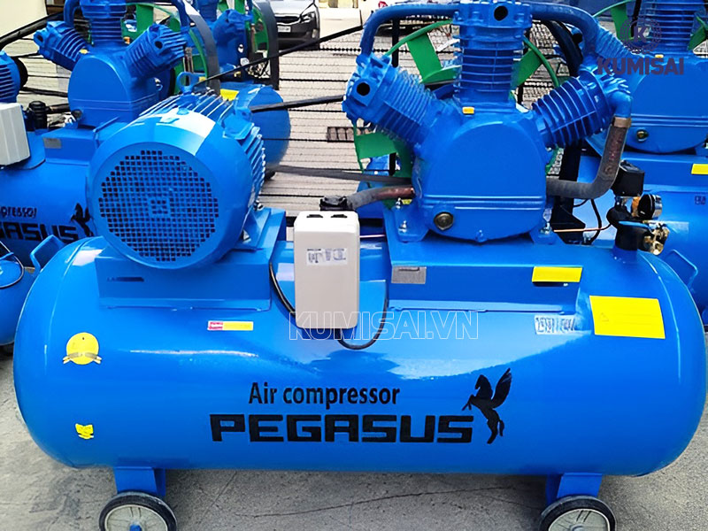 Tìm hiểu về máy nén khí Pegasus TM-W-0.67/8-330L