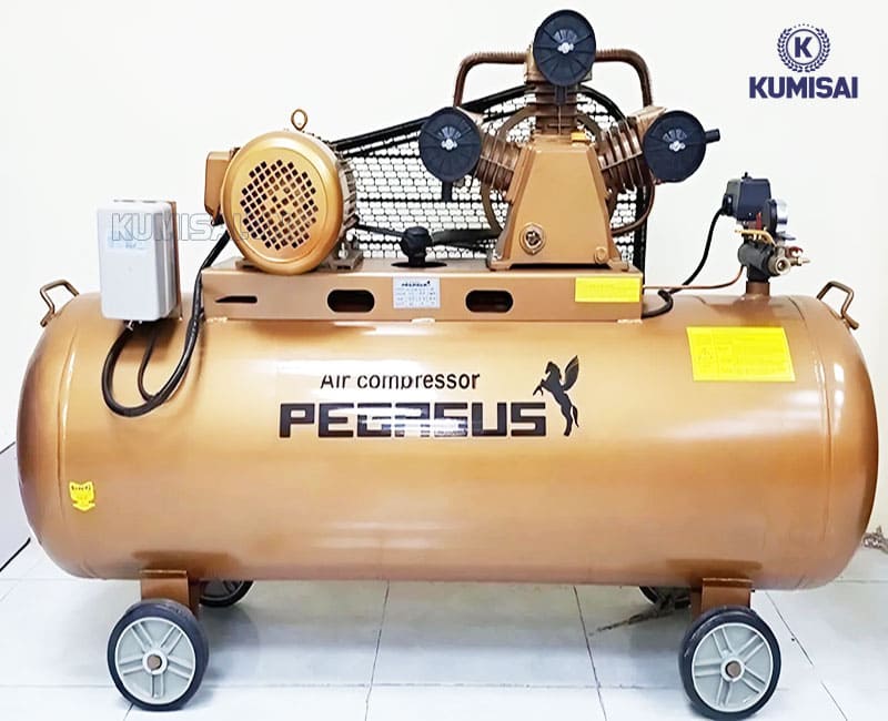 Tìm hiểu về máy nén khí Pegasus TM-W-0.9/8-500L
