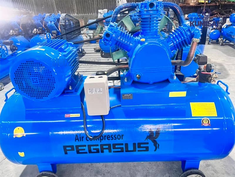 Tìm hiểu về máy nén khí Pegasus TM-W-1.0/8-500L