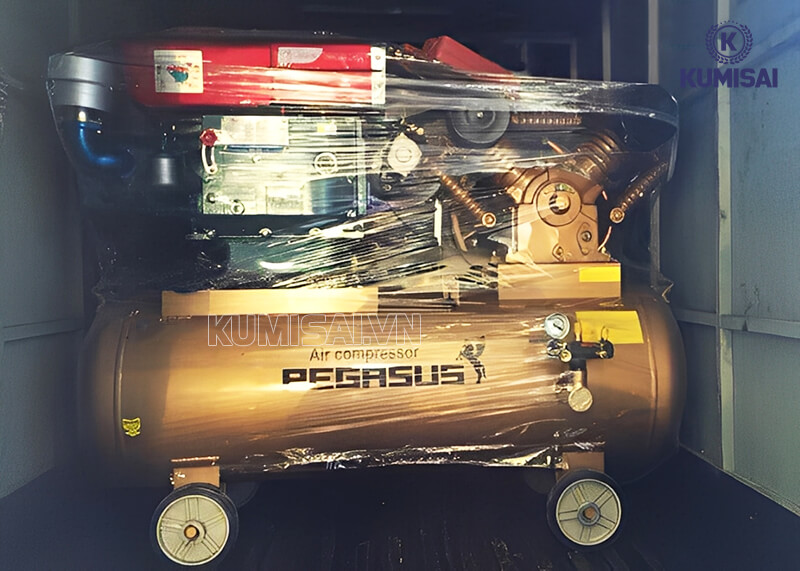 Pegasus TM-W-1.6/12.5-500L nén hơi nhanh 