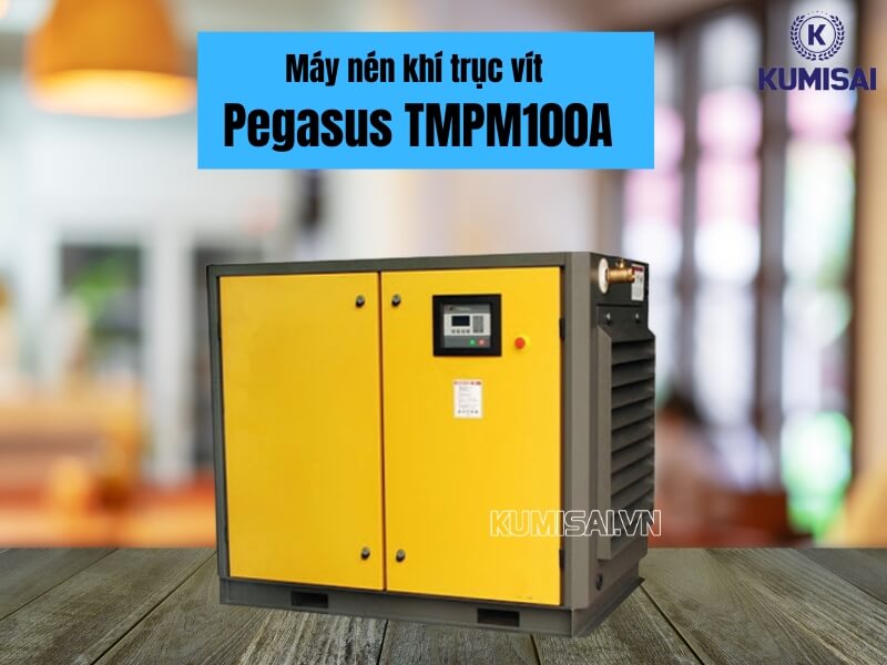 Tìm hiểu về máy nén khí trục vít Pegasus TMPM100A