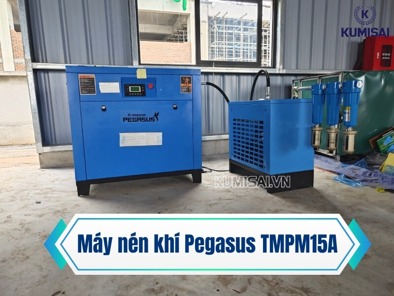 Tìm hiểu về máy nén khí trục vít Pegasus TMPM15A