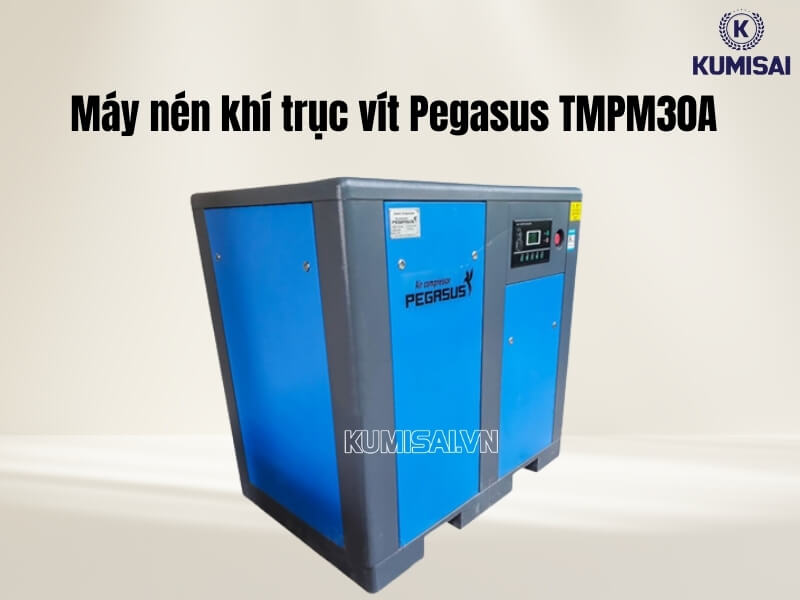 Tìm hiểu về máy nén khí trục vít Pegasus TMPM30A
