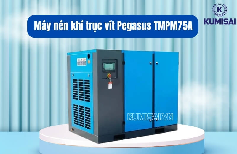 Tìm hiểu về máy nén khí trục vít Pegasus TMPM75A