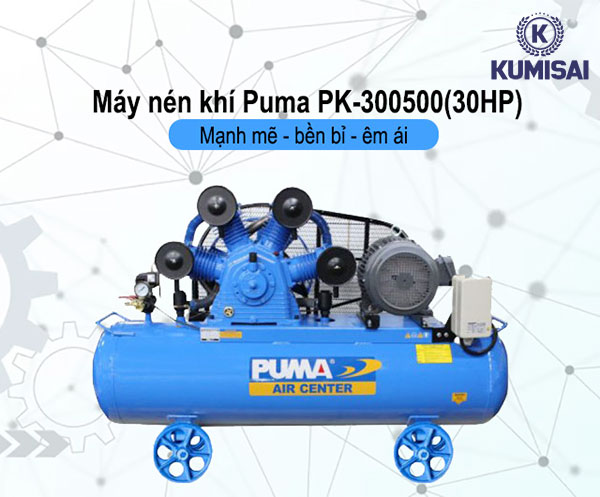 Chi tiết máy nén khí Puma PK-300500