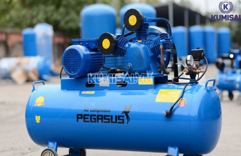 Máy nén khí Pegasus TM-W-0.9/8-500L