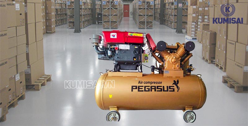 Pegasus TM-V-1.05/12.5 - 500L