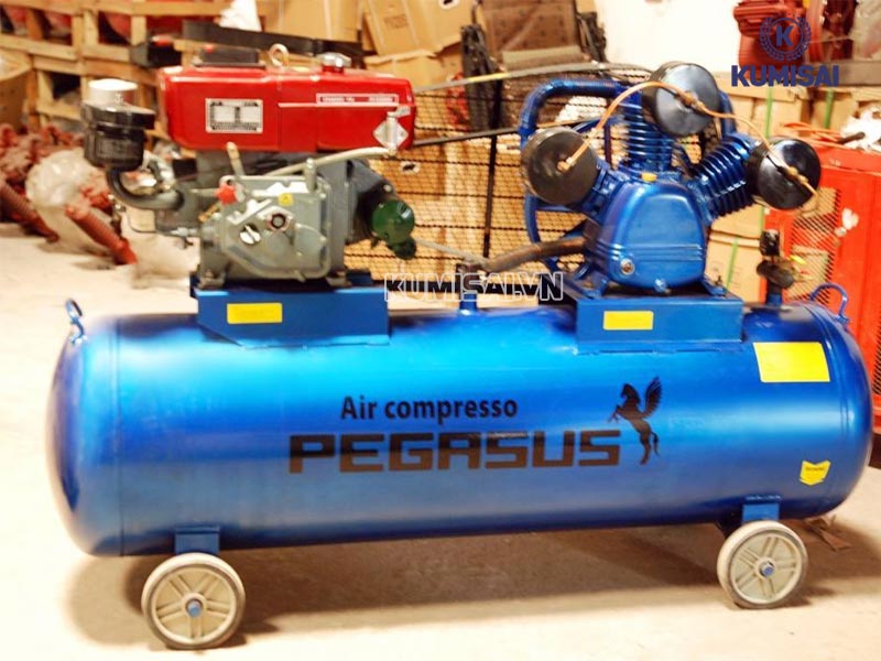 Pegasus TM-W-1.0/8-330L