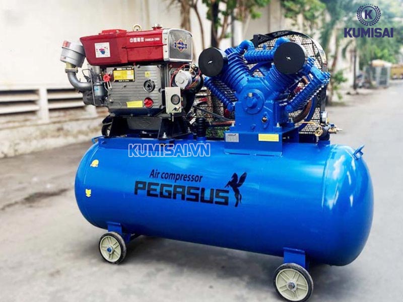 Pegasus TM-W-1.6/12.5-500L