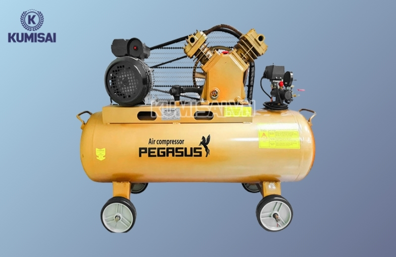 Pegasus TM-V-0.25/12.5-120L