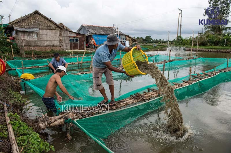 Cải thiện chất lượng nước