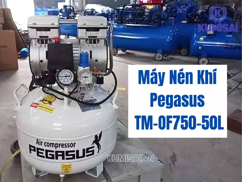 Khám phá ưu điểm của máy nén khí piston mini không dầu Pegasus TM-OF750-50L
