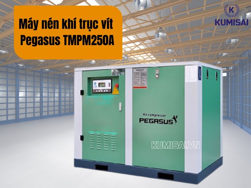 Tìm hiểu về máy nén khí trục vít Pegasus TMPM250A