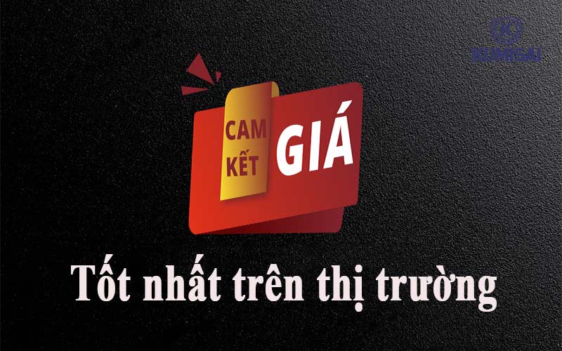 Đến Kumisai mua máy nén khí Pegasus giá tốt nhất