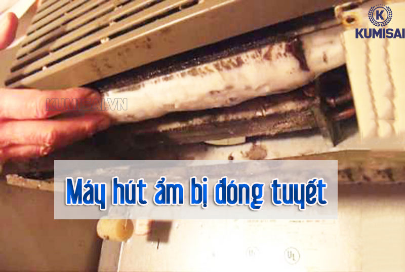 Máy hút ẩm bị đóng tuyết là gì?