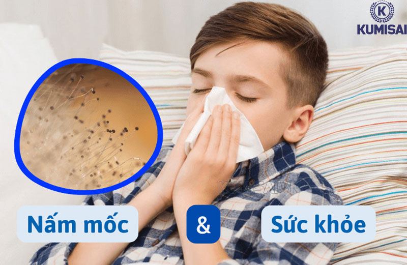 Tạo điều kiện cho vi khuẩn, nấm mốc phát triển