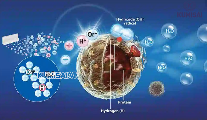 Công nghệ Plasmacluster Ion độc quyền trên máy hút ẩm của Sharp