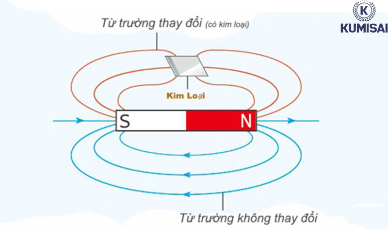 Nguyên lý hoạt động của máy dò thực phẩm