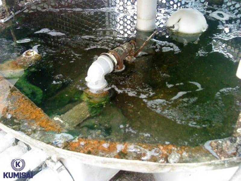 Nếu không xử lý nước thì sẽ có thể xuất hiện cáu cặn, rong rêu