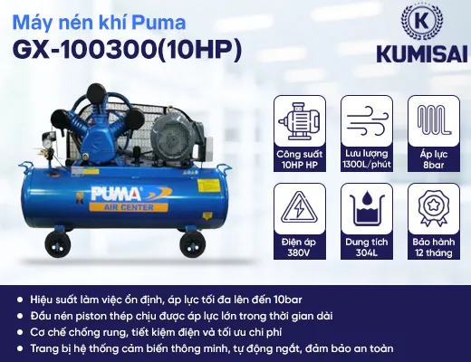 Máy nén khí PUMA PX-10300 (10HP) - 2