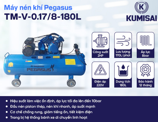 Máy nén khí Pegasus TM-V-0.17/8-180L - 2