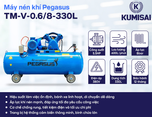 Máy nén khí Pegasus TM-V-0.6/8-330L - 2