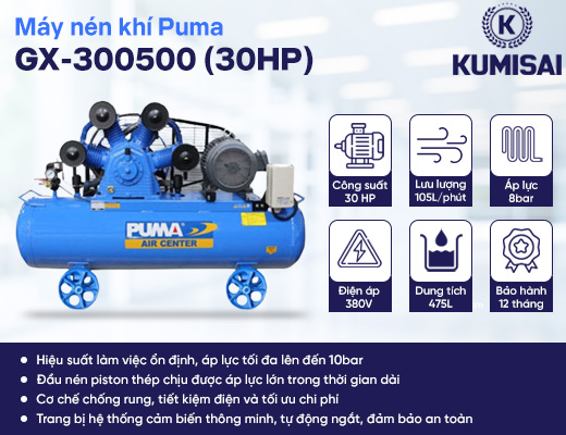 Máy nén khí Puma GX-300500 (30HP) - 2