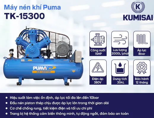 Máy nén khí Puma TK-15300 - 2