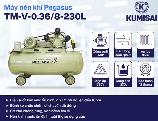 Máy nén khí công nghiệp Pegasus piston TM-V-0.36/8-230L - 2