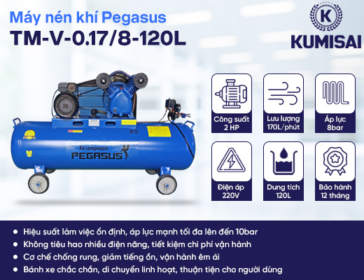 Máy nén khí dây đai Pegasus TM-V-0.17/8-120L - 2