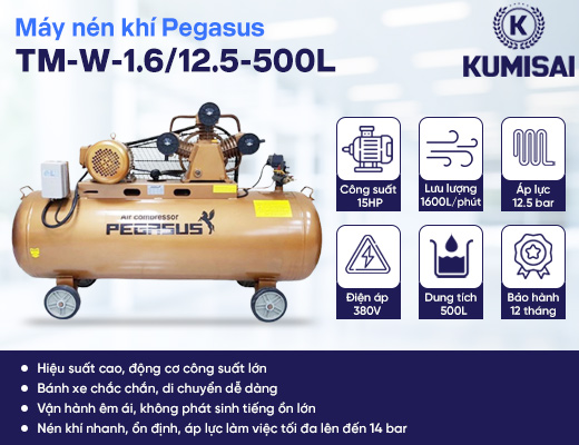 Máy nén khí dây đai Pegasus TM-W-1.6/12.5-500L - 2