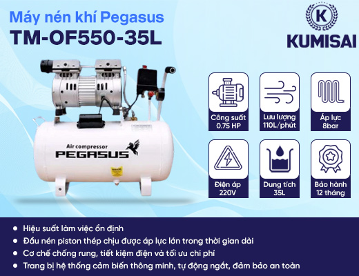 Máy nén khí mini Pegasus TM-OF550-35L - 2