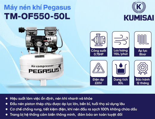 Máy nén khí mini không dầu Pegasus TM-OF550-50L - 2