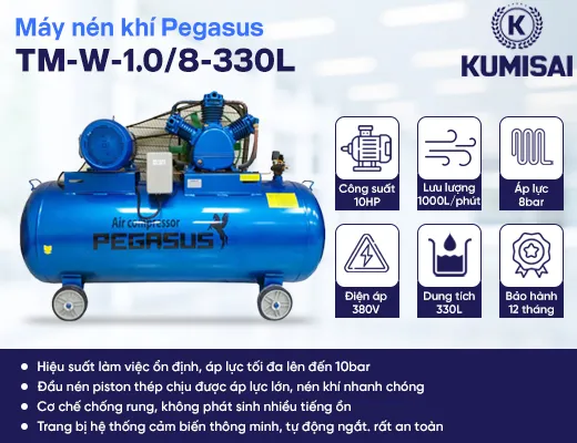 Máy nén khí piston Pegasus TM-W-1.0/8-330L - 2