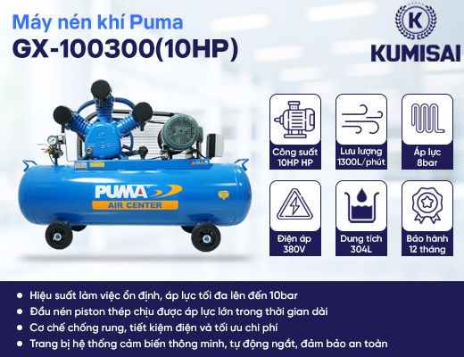 Máy nén khí piston Puma GX-100300(10HP) - 2