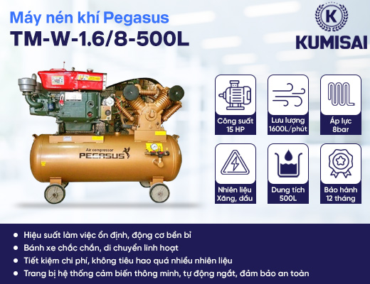Máy nén khí piston chạy dầu Pegasus TM-W-1.6/8-500L - 2