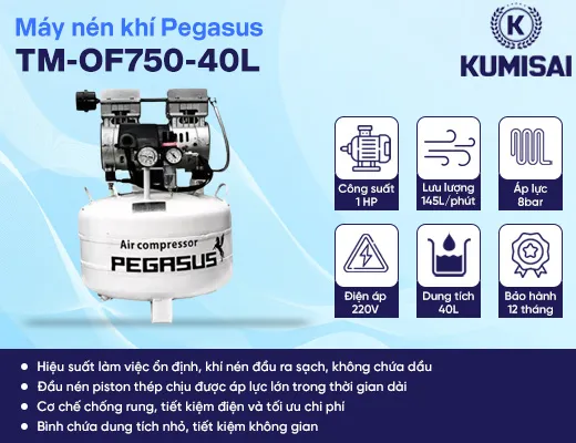 Máy nén khí piston mini không dầu Pegasus TM-OF750-40L - 2