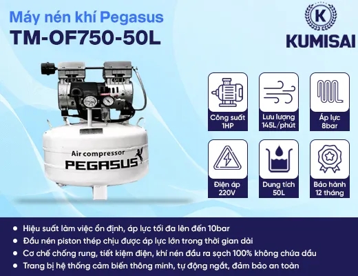 Máy nén khí piston mini không dầu Pegasus TM-OF750-50L - 2