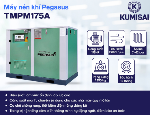 Máy nén khí trục vít Pegasus TMPM175A - 2