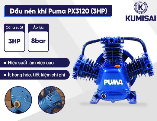 Đầu nén khí Puma PX3120 (3HP) - 2