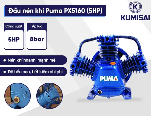 Đầu nén khí Puma PX5160 (5HP) - 2