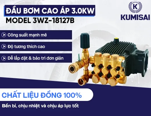 Đầu bơm cao áp 3.0kW model 3WZ-18127B - 2