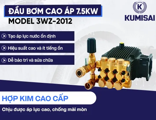Đầu bơm cao áp 7.5KW model 3WZ-2012 - 2