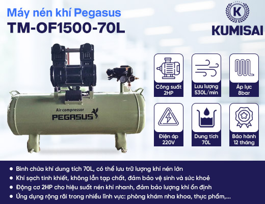 Máy nén khí mini không dầu Pegasus TM-OF1500-70L - 2